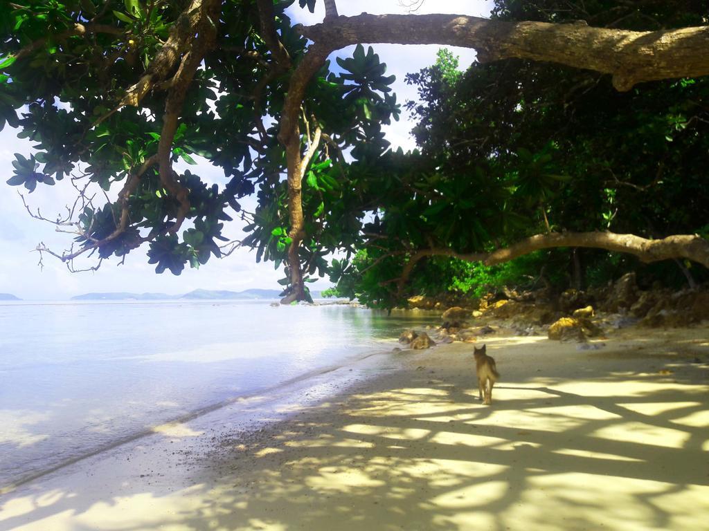 Alam Indah Beach Resort Busuanga Buitenkant foto
