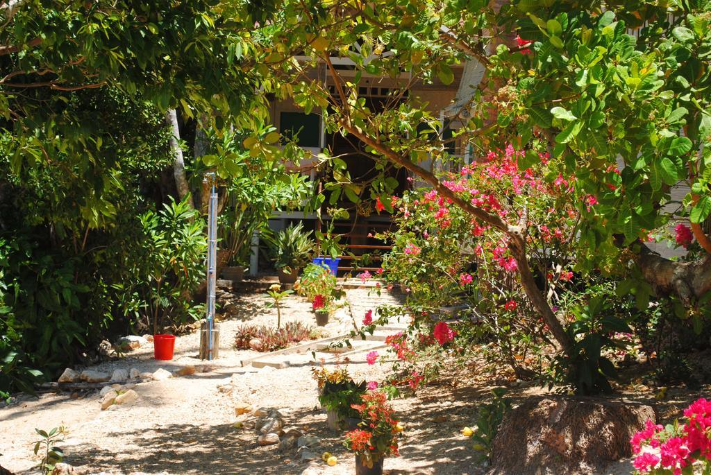 Alam Indah Beach Resort Busuanga Buitenkant foto