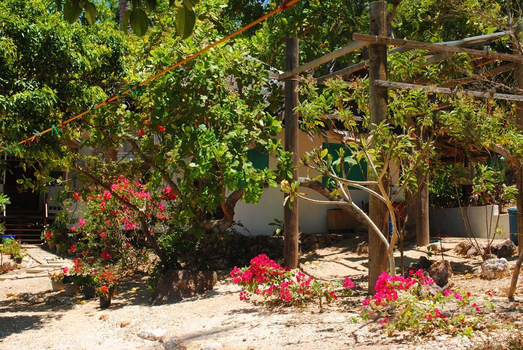 Alam Indah Beach Resort Busuanga Buitenkant foto